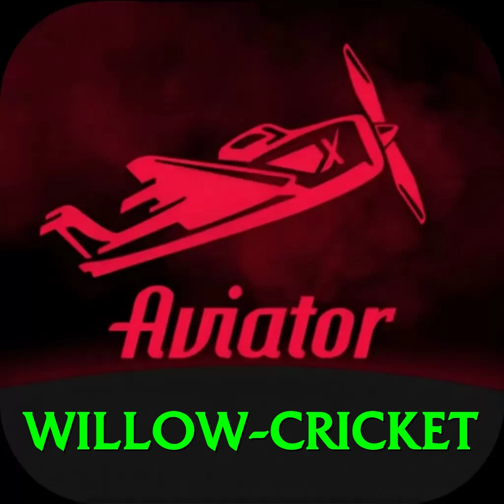 willow cricket Pro - 2