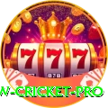 willow cricket Bonus Champion v5.8.5